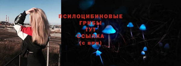 гидропоника Балахна
