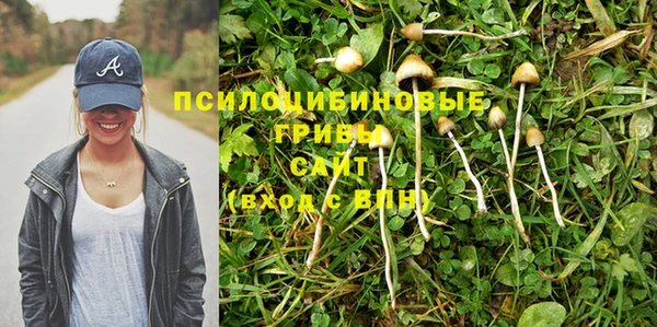 mdpv Арсеньев
