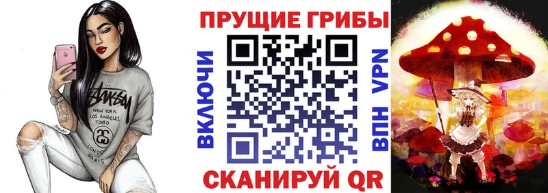 Галлюциногенные грибы Psilocybe Вязьма